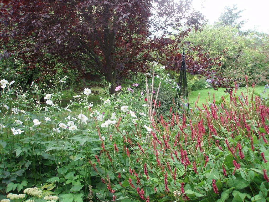 White House Farm Bed and breakfast Hindolveston