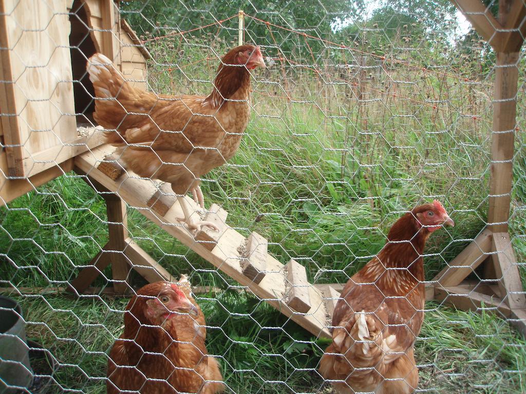 White House Farm Bed and breakfast *
